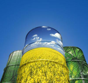 Biodiesel News